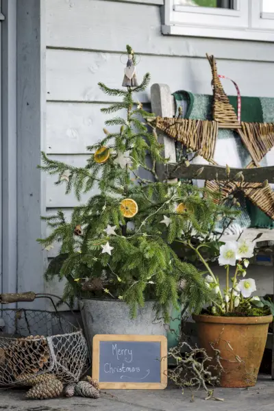small christmas tree on front porch with decorations at woodhill manor