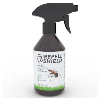 RepellShield Ant Spray Indoors & Outdoor