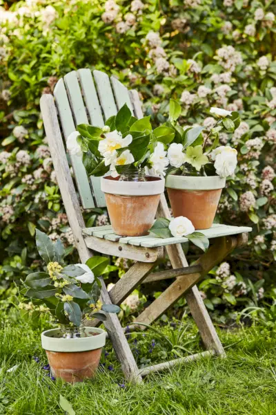 flowers on a wooden ladder