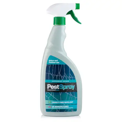 Peppermint Spider Pest Spray