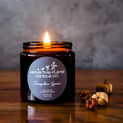 white legged snake millipede