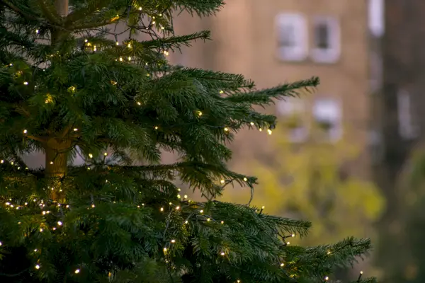 christmas tree lights running costs