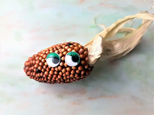 dry corn cob decorated with two googly eyes to look like a face and husk styled as hair