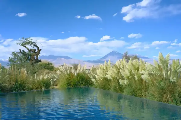 A view of a tranquil infinity pool surrounded by vegetation with distant mountains under a blue sky