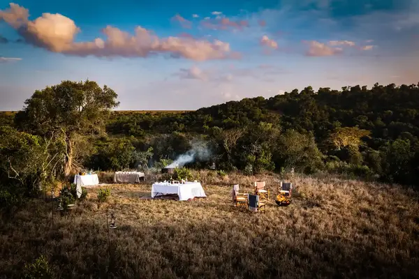 Outdoor dining setup in a grassy area surrounded by trees and bushes
