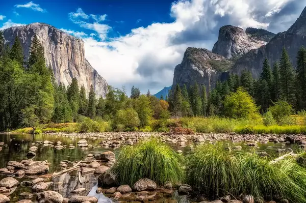 Yosemite National Park