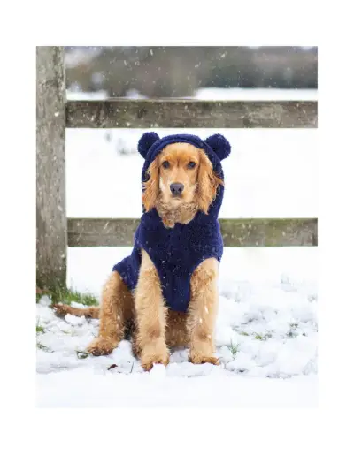 Teddy Bear Dog Hoodie - Large