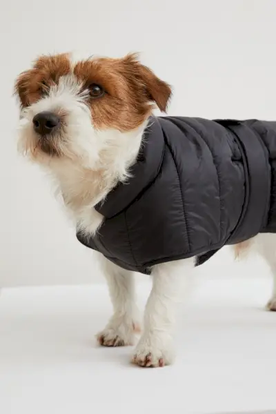 Quilted dog jacket