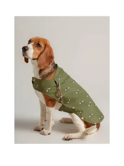 Olive Green Waxed Dog Coat 