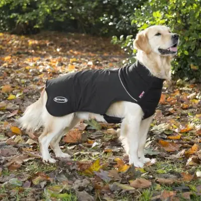Thermal Self-Heating Dog Coat - Black
