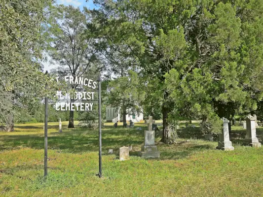 Tree, Land lot, Headstone, Woody plant, Biome, Trunk, Groundcover, Deciduous, Cemetery, Grave, 