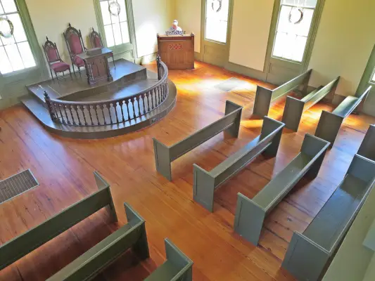 Interior design, Flooring, Floor, Room, Hardwood, Varnish, Hall, Wood stain, Daylighting, Houseplant, 