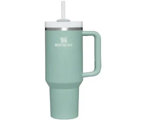 Stanley Quencher in Eucalyptus