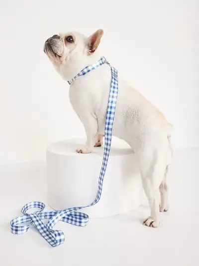 Printed Collar & Leash Set 