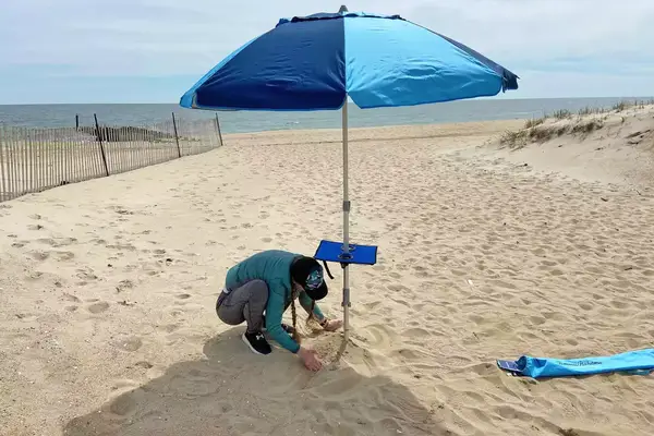 Person setting up the Tommy Bahama 7-ft Fiberglass Beach Umbrella for Sand with Integrated Anchor on the beach