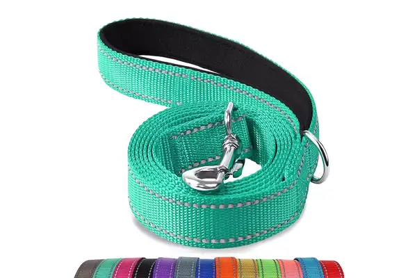 Joytale Double-Sided Reflective Dog Leash,