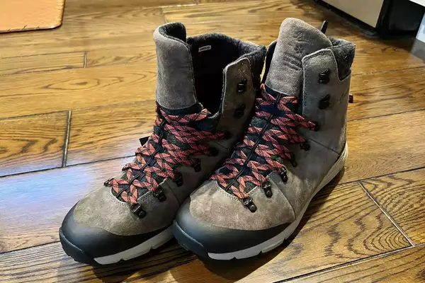 The Danner Arctic 600 Side-Zip Boots