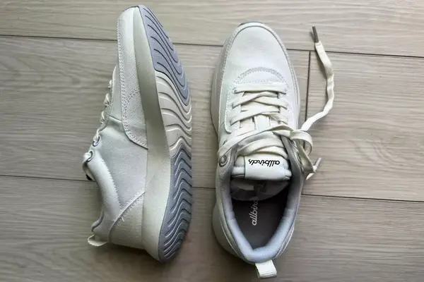 An overhead and side view of a pair of Allbirds Women