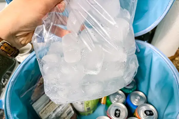 A bag of ice is placed into the Hydro Flask 20L Carry Out Soft Cooler Travel Bag