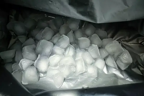 Ice in the Igloo Latitude Snapdown 36-Can Cooler Bag