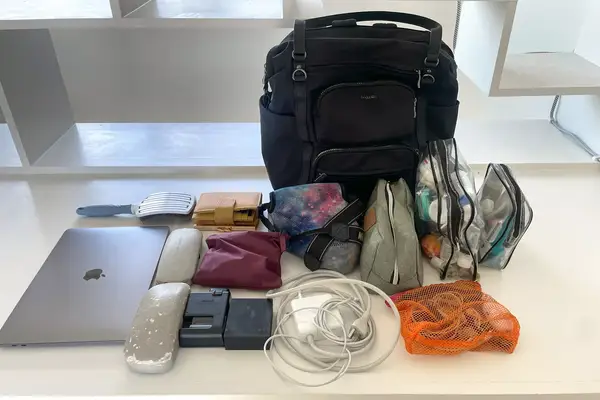 The items that fit inside the Baggallini Nolita Convertible Backpack