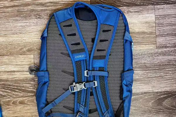Back view of the Osprey Daylite Plus