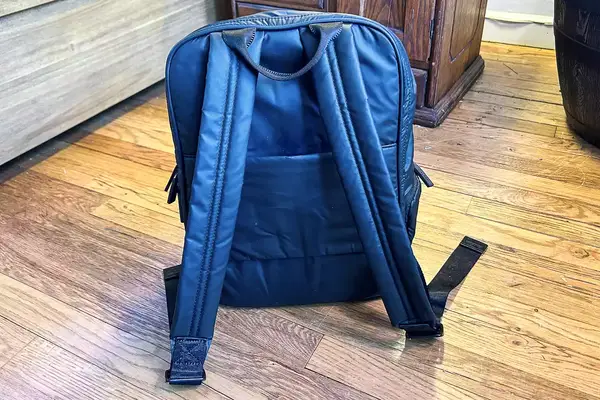 Photo of the back of the calpak luka backpack