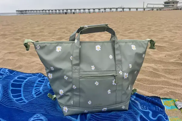 The Calpak Insulated Soft-sided Cooler on a beach blanket on the beach