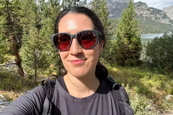 Hestra Windshield Liner