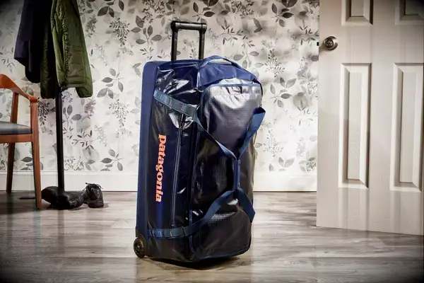 Patagonia Black Hole Wheeled Duffel Bag 100L displayed upright in front of floral wallpaper