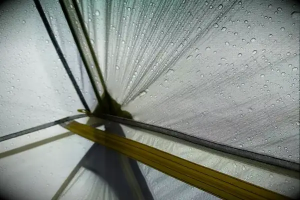 The ceiling of a NEMO Dagger OSMO Lightweight Backpacking Tent