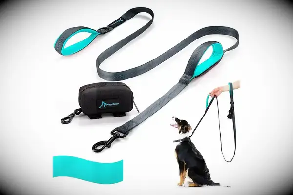 PuppyDoggy Dog Leash for Large Medium 