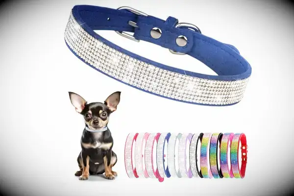 Rhinestone Dog Collar for Small Dogs, Bling