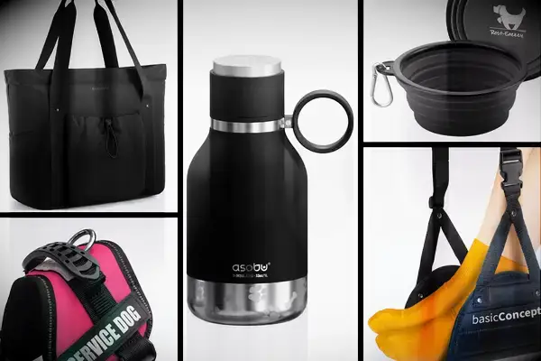 I’m a Travel Writer With a Mental Health Disability Who Travels With a Service Dog, This Is What We Packed – All Under on Amazon Tout