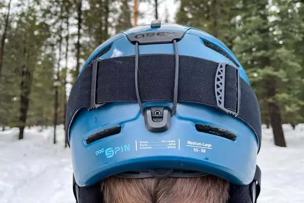 The back of a person