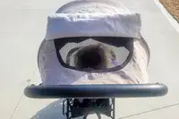 The hood on the Inglesina Quid Stroller