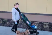 A person walks a baby in the Bombi Bēbee V2 Lightweight Stroller