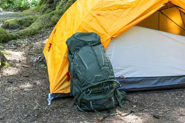 Osprey Kestrel 58L Men