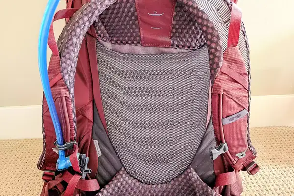 The straps on the Gregory Women