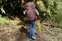 The back of a person wearing the Gregory Women