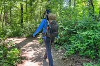A hiker carrying a The North Face Trail Lite 50 Backpack walking through a lush forest trail, surrounded by greenery and trees
