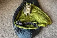 A cat sits inside the Nemo Coda Genderless Endless Promise Down Mummy Sleeping Bag