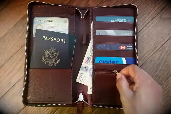 Raytix RFID Money Belt