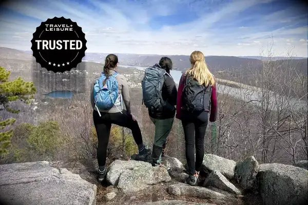 Tumi Alpha International Dual Access 4 Wheeled Carry-On