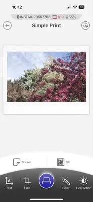 A screen showing a photo of blossoming trees with control options below for editing and printing