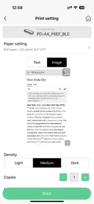 A screenshot of a print settings page of JADENS Bluetooth Thermal Printer showing a document preview and print options like density and number of copies