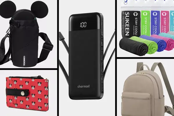 Buckle womens wallet, Portable Charger, Corkcicle x Disney Minnie Mickey Mouse Ears, LOVEVOOK Mini Backpack and sunkeen cooling towels collaged on grid background