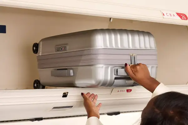 Antler Soft Stripe Lightest Large Luggage