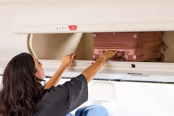A person places the Dagne Dover Smaller Seattle Carry-on Luggage 20.5 Inches into an overhead compartment
