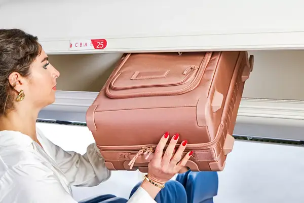 A person placing the Dagne Dover Seattle Carry On Rolling Luggage 23.5 Inches into an overhead bin
